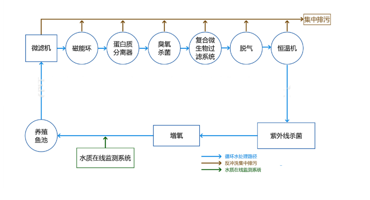 图片1 图片1